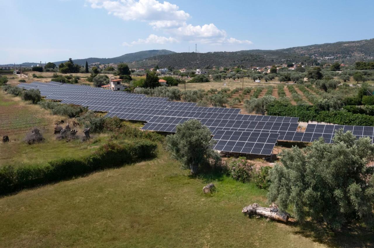 Negroponte Resort Eretria Bagian luar foto